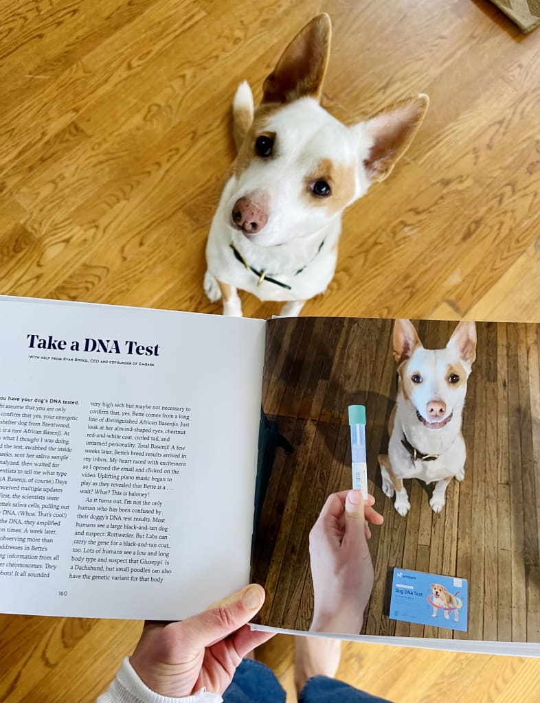 A white and brown dog standing next to a book open to a page that reads "Take a DNA Test"